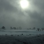 満田屋 会津の田楽を食す