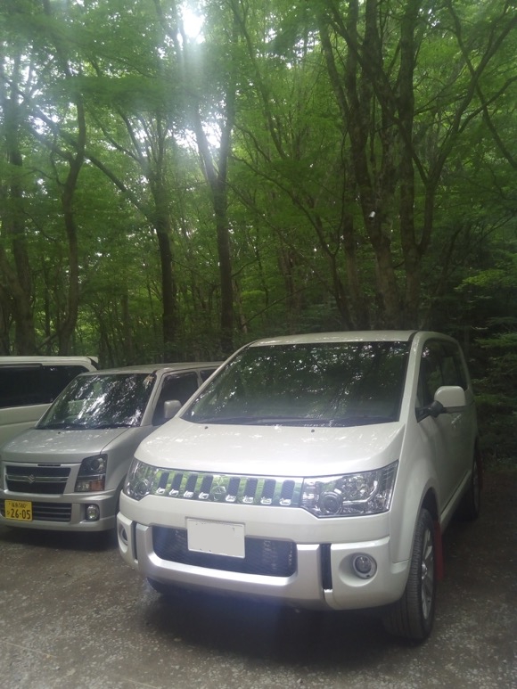 デリカD:5 トラブル発生。ASC警告灯、エンジン警告灯点灯。ついでに5,000km点検。